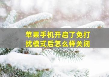 苹果手机开启了免打扰模式后怎么样关闭