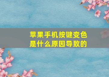 苹果手机按键变色是什么原因导致的