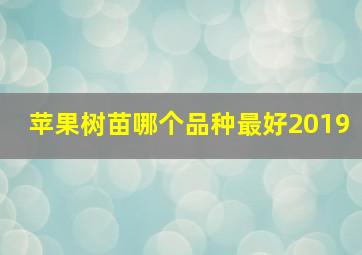 苹果树苗哪个品种最好2019