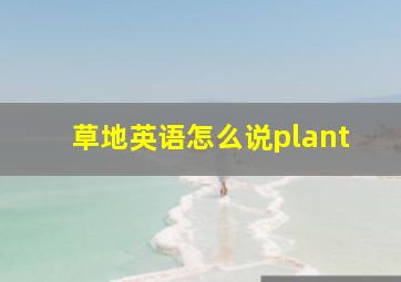 草地英语怎么说plant