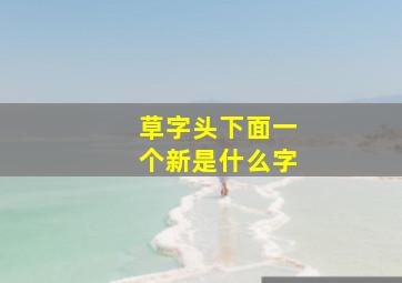 草字头下面一个新是什么字