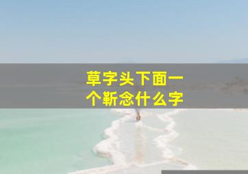 草字头下面一个靳念什么字