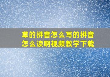 草的拼音怎么写的拼音怎么读啊视频教学下载