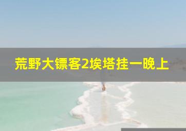 荒野大镖客2埃塔挂一晚上