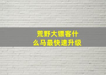 荒野大镖客什么马最快速升级