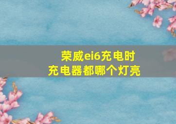 荣威ei6充电时充电器都哪个灯亮