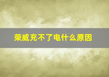 荣威充不了电什么原因