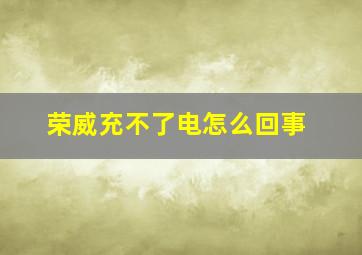 荣威充不了电怎么回事