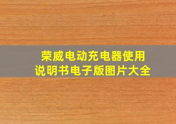 荣威电动充电器使用说明书电子版图片大全