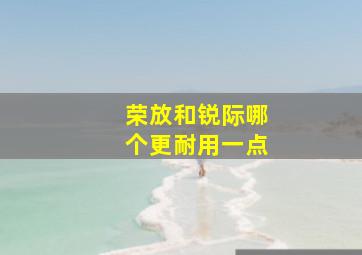 荣放和锐际哪个更耐用一点