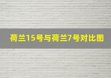 荷兰15号与荷兰7号对比图