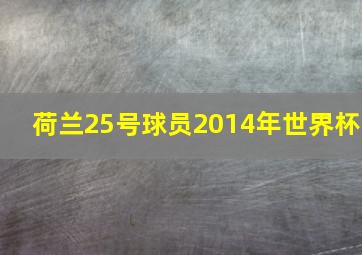 荷兰25号球员2014年世界杯