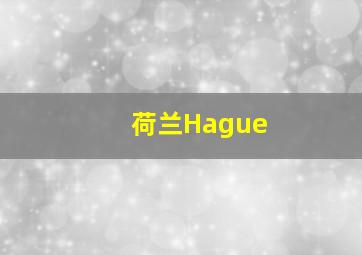 荷兰Hague