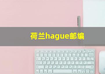 荷兰hague邮编