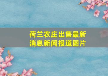 荷兰农庄出售最新消息新闻报道图片