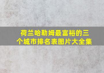 荷兰哈勒姆最富裕的三个城市排名表图片大全集