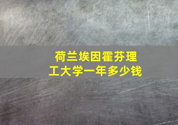 荷兰埃因霍芬理工大学一年多少钱