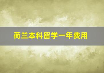 荷兰本科留学一年费用