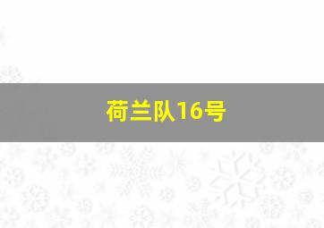 荷兰队16号