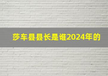 莎车县县长是谁2024年的