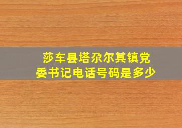 莎车县塔尕尔其镇党委书记电话号码是多少