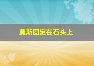 莫斯固定在石头上