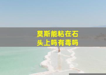 莫斯能粘在石头上吗有毒吗