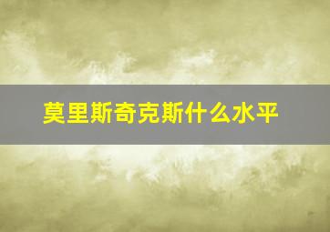 莫里斯奇克斯什么水平