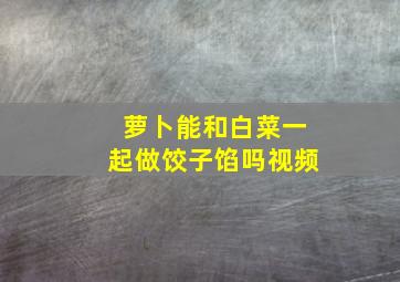 萝卜能和白菜一起做饺子馅吗视频