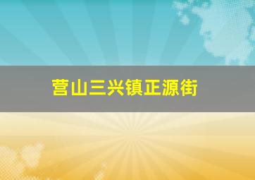 营山三兴镇正源街