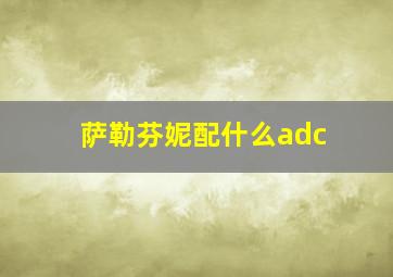 萨勒芬妮配什么adc