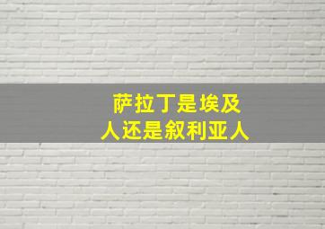 萨拉丁是埃及人还是叙利亚人