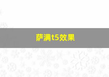 萨满t5效果