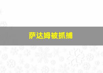 萨达姆被抓捕