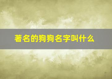 著名的狗狗名字叫什么