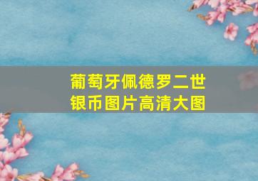 葡萄牙佩德罗二世银币图片高清大图