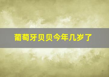 葡萄牙贝贝今年几岁了