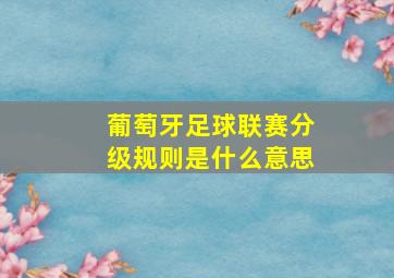 葡萄牙足球联赛分级规则是什么意思