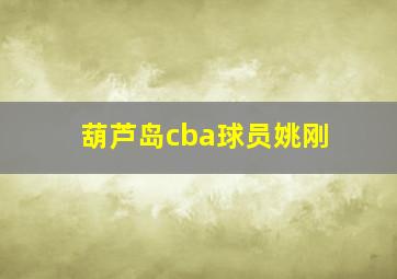 葫芦岛cba球员姚刚