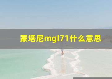 蒙塔尼mgl71什么意思