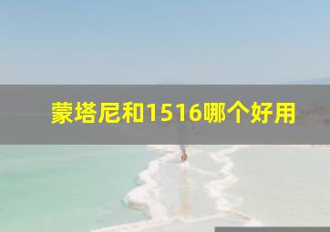 蒙塔尼和1516哪个好用