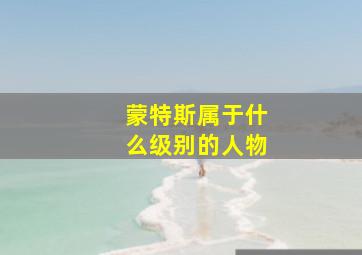 蒙特斯属于什么级别的人物