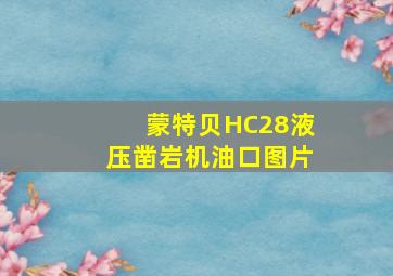 蒙特贝HC28液压凿岩机油口图片