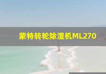 蒙特转轮除湿机ML270