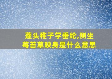 蓬头稚子学垂纶,侧坐莓苔草映身是什么意思