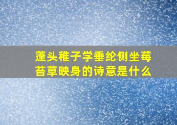 蓬头稚子学垂纶侧坐莓苔草映身的诗意是什么