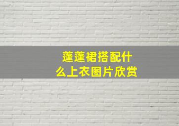 蓬蓬裙搭配什么上衣图片欣赏