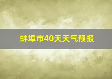 蚌埠市40天天气预报