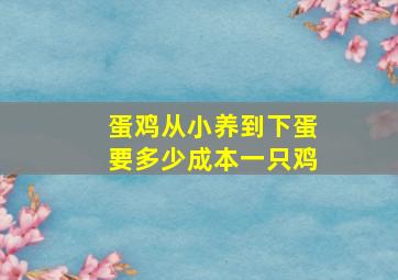 蛋鸡从小养到下蛋要多少成本一只鸡