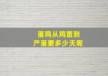 蛋鸡从鸡苗到产蛋要多少天呢